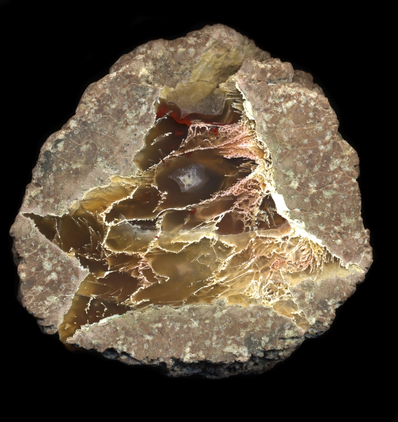 Viewpoint Thunderegg
